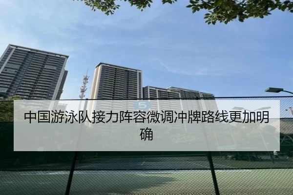 中国游泳队接力阵容微调冲牌路线更加明确